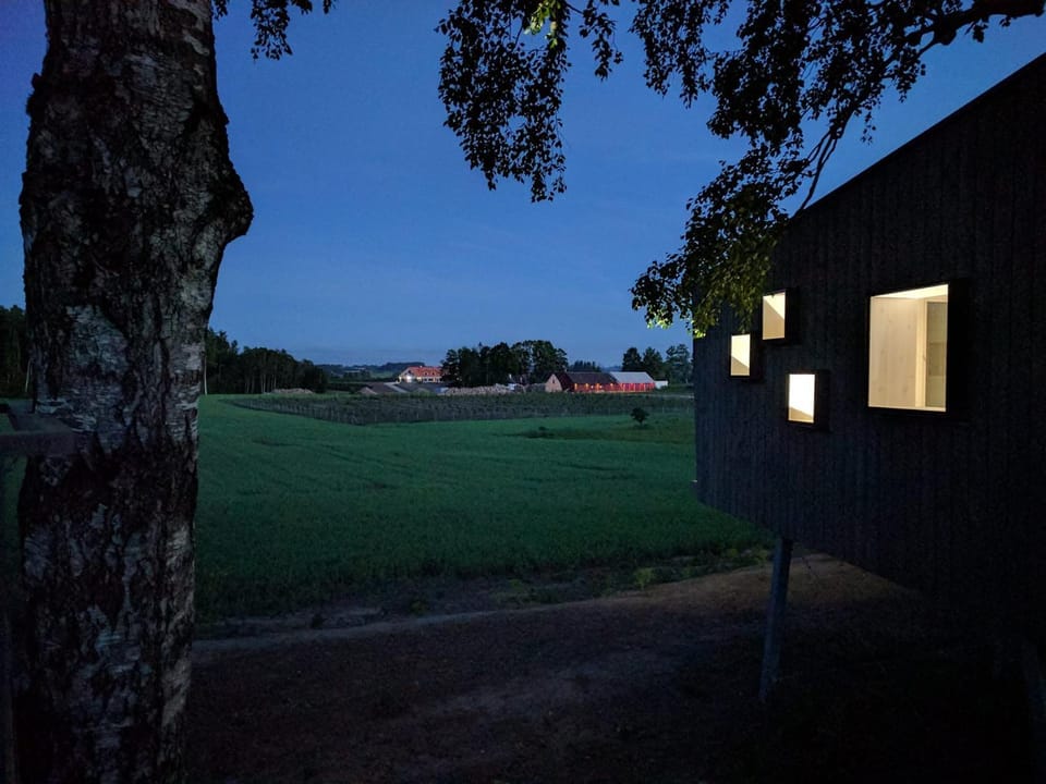 Night, Garden view