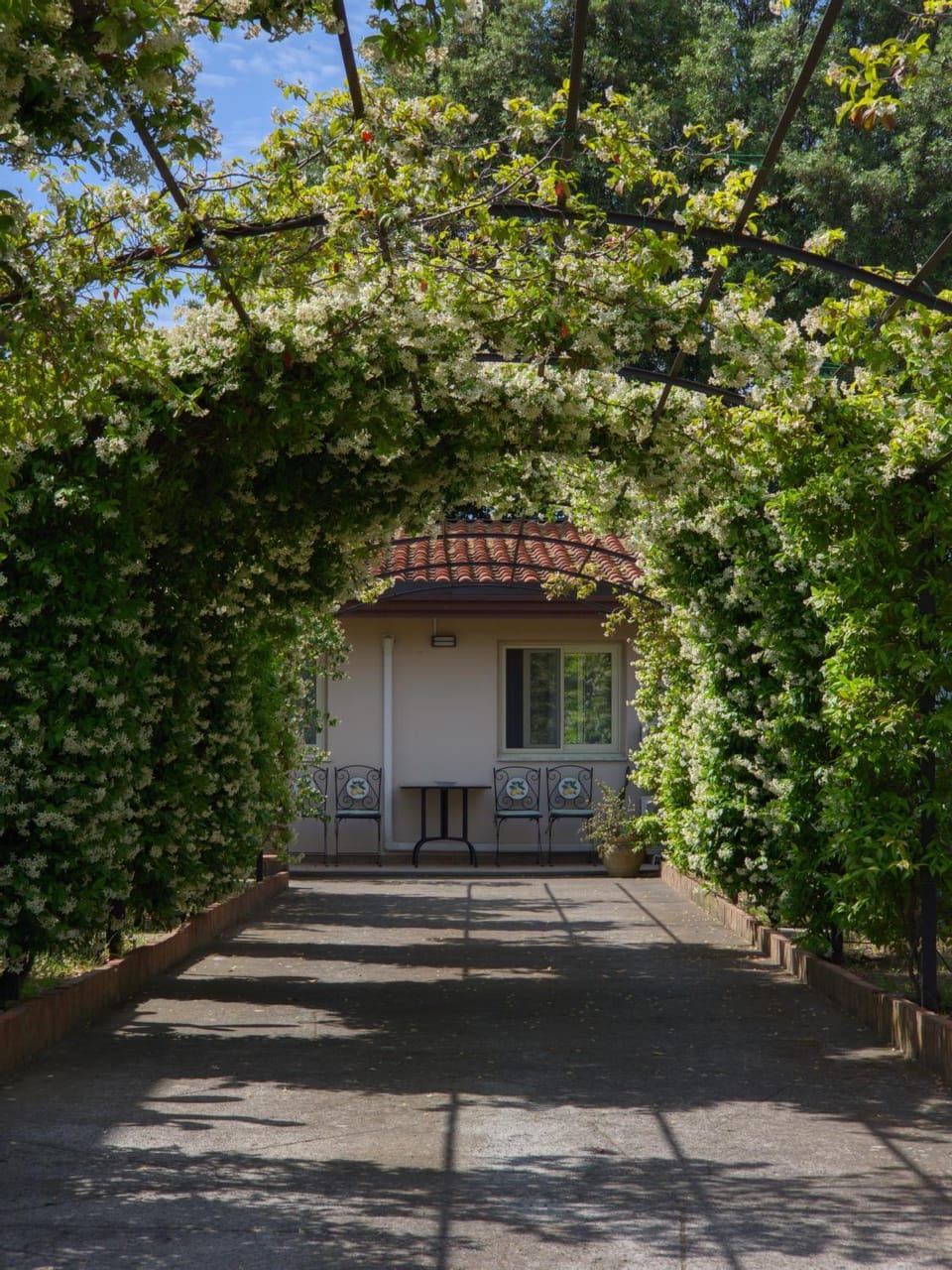 Garden view