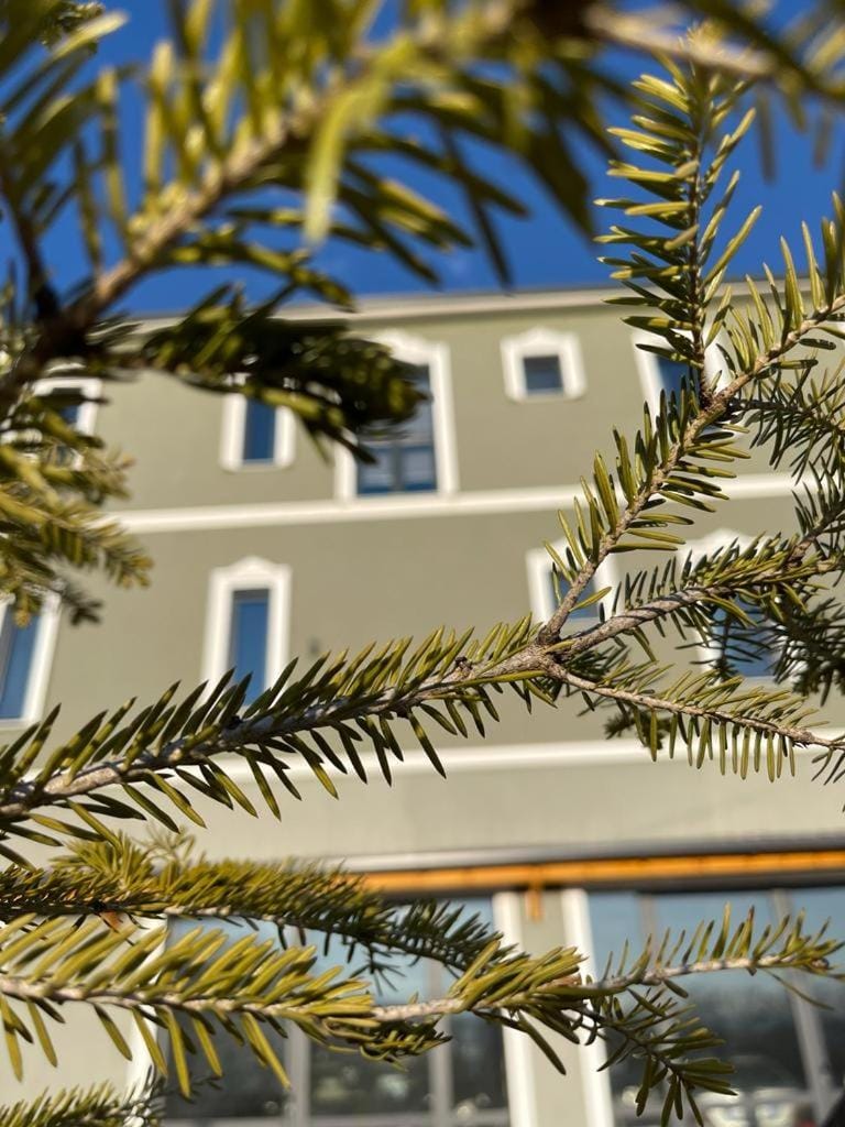 Vila Isi Hotel in North Macedonia