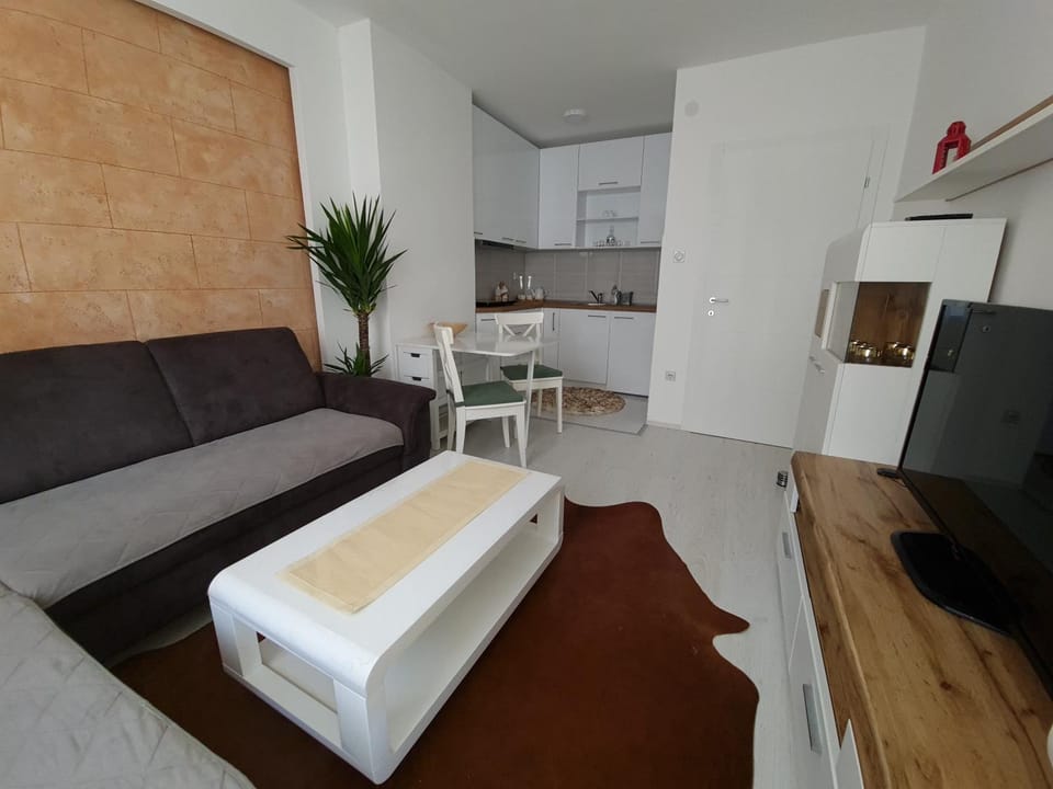 Communal lounge/ TV room, TV and multimedia, Kitchen or kitchenette, Living room, Seating area