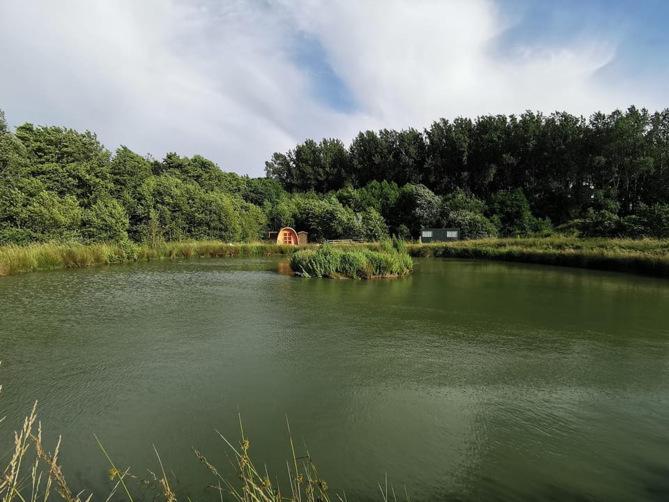 Natural landscape, Lake view, River view