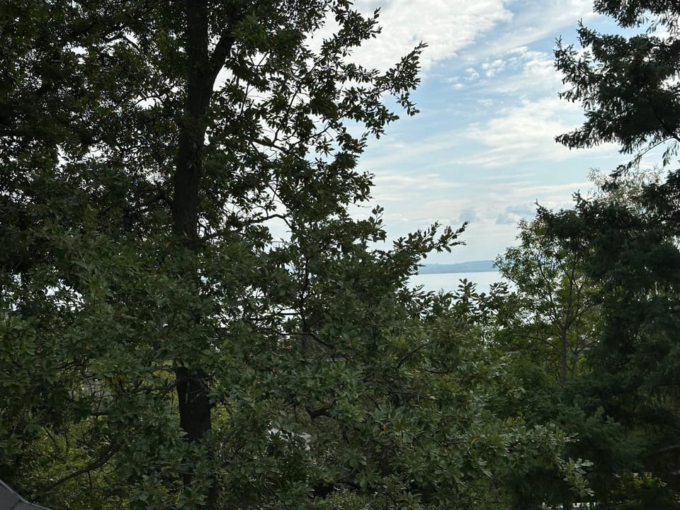 Lake view