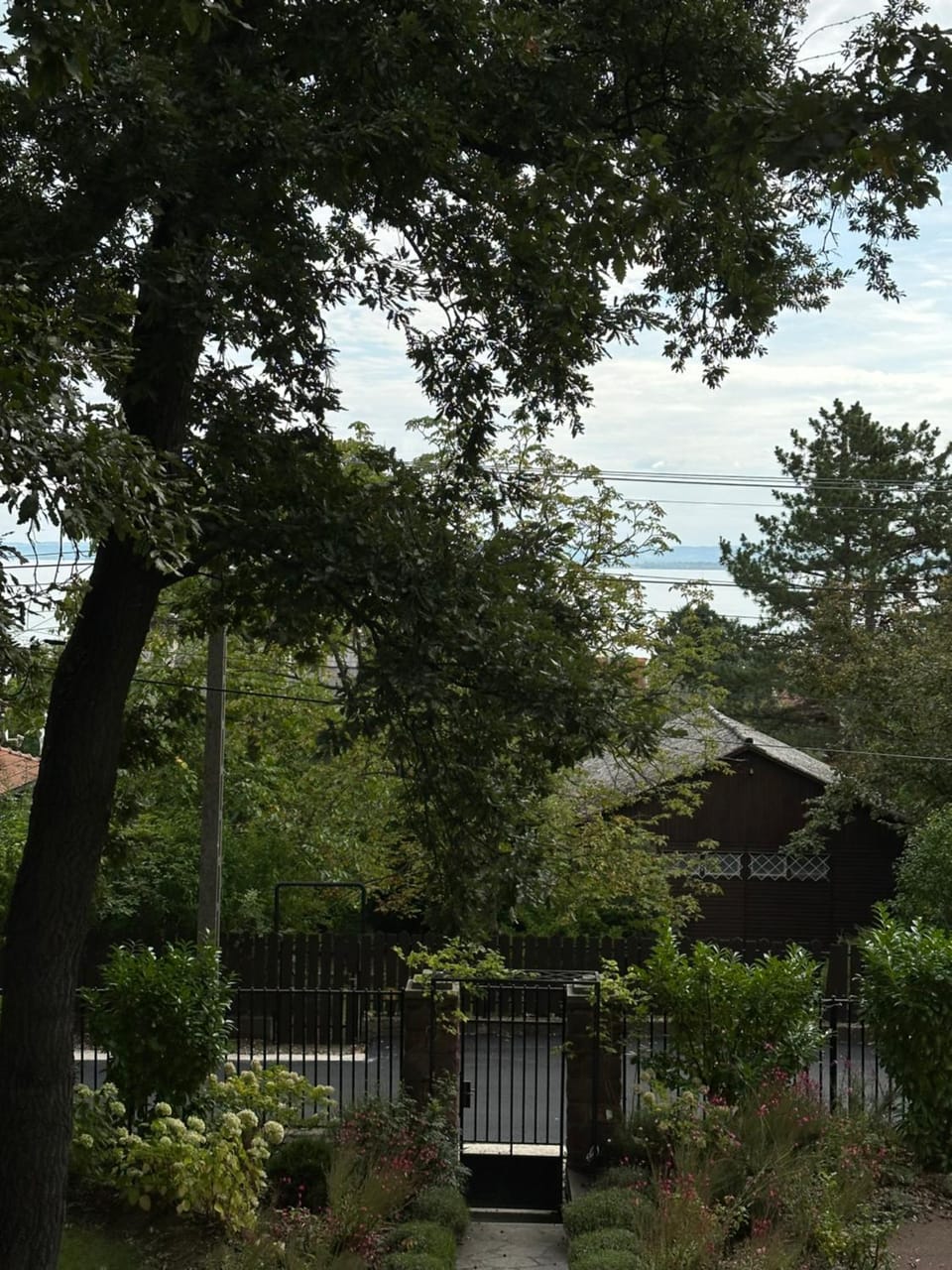 Lake view