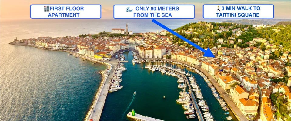 Bird's eye view, Location