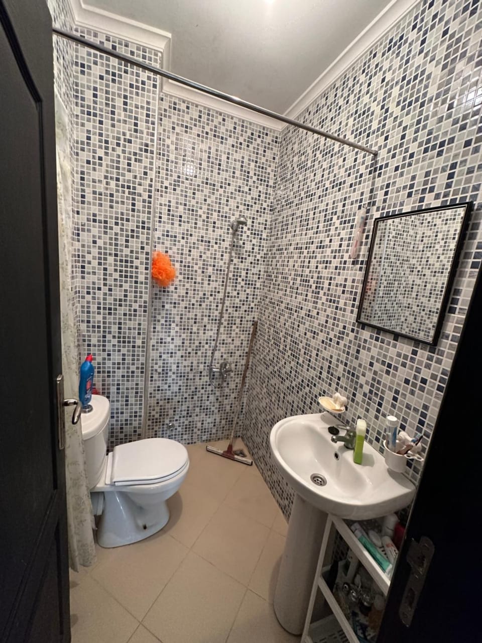 Shower, Toilet, Bathroom