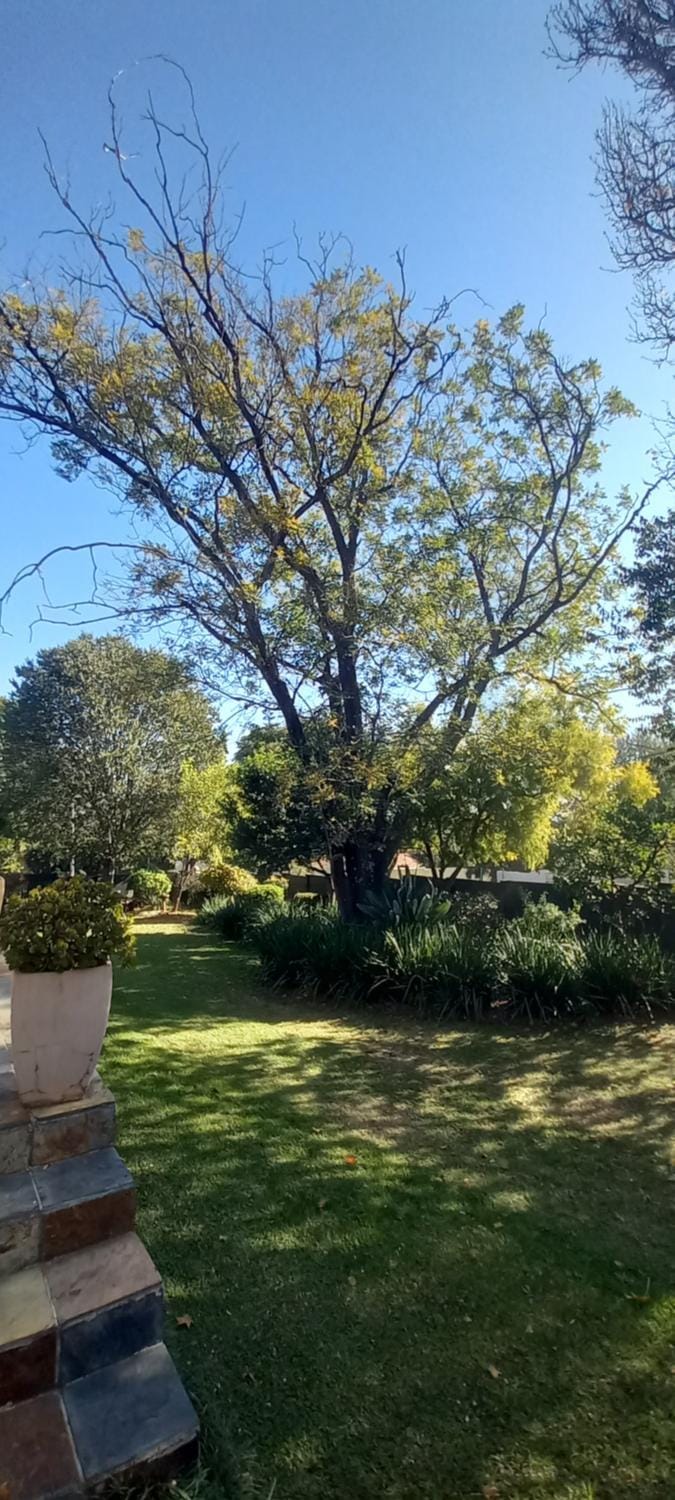 Stella's Place Apartment in Sandton