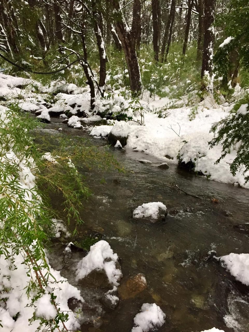 Natural landscape
