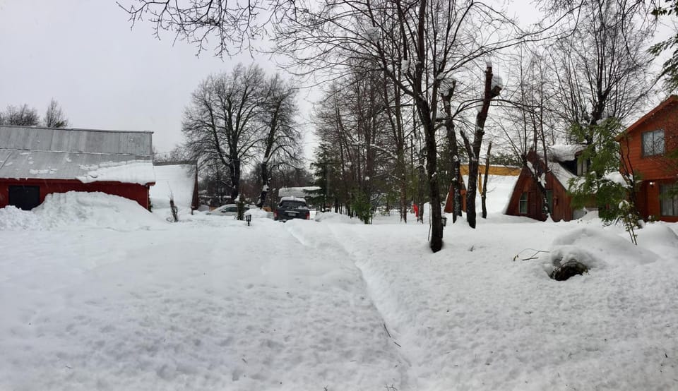 Winter