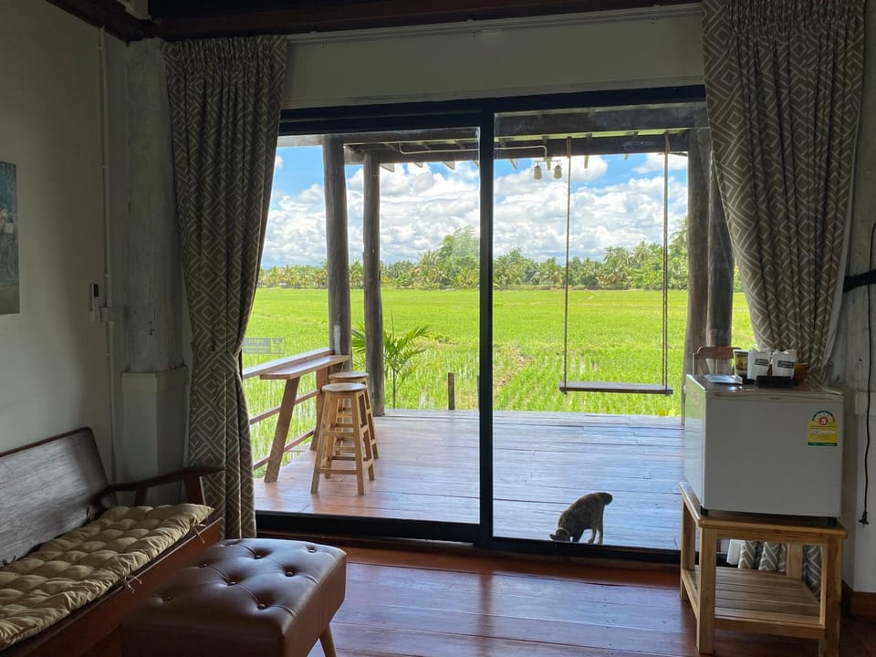 View (from property/room)