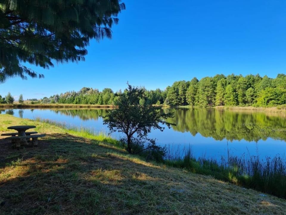Lake view