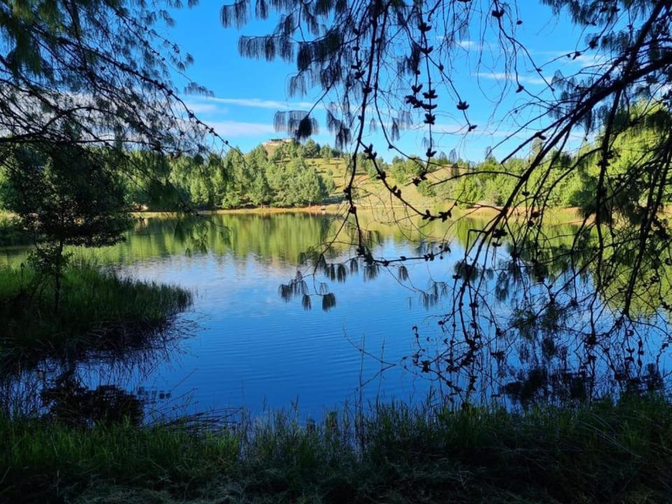 Lake view