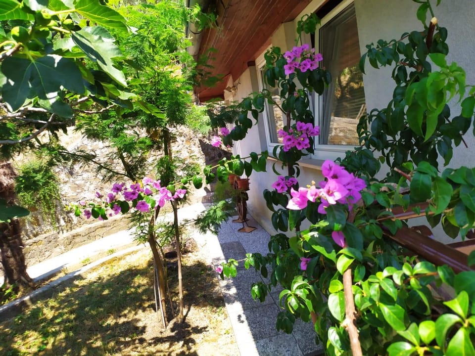 Day, Garden, Garden view