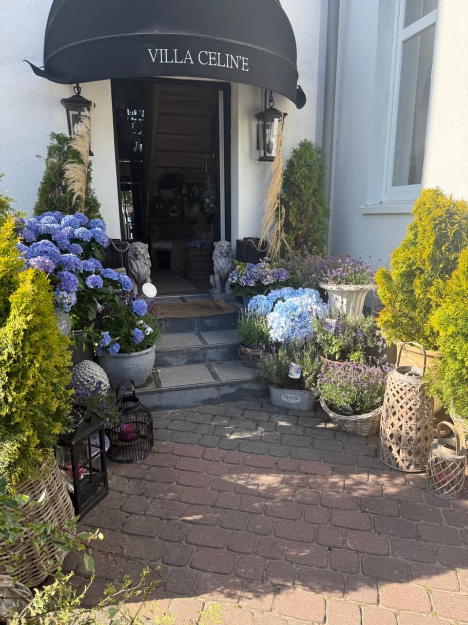 Villa Celine Apartment in West Pomeranian Voivodeship, Poland