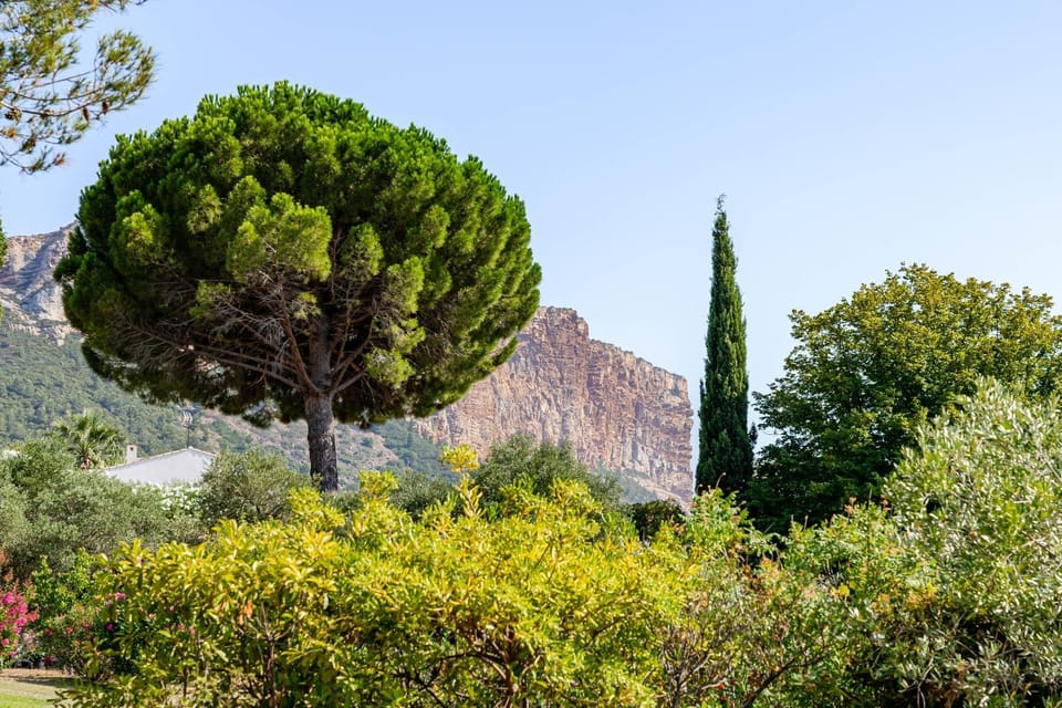 Le Nadadou par Dodo à Cassis Apartment in Cassis