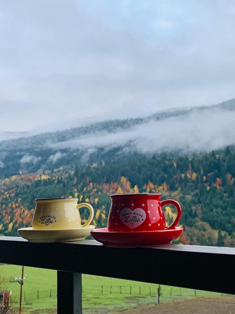 Natural landscape, Coffee/tea facilities, Mountain view