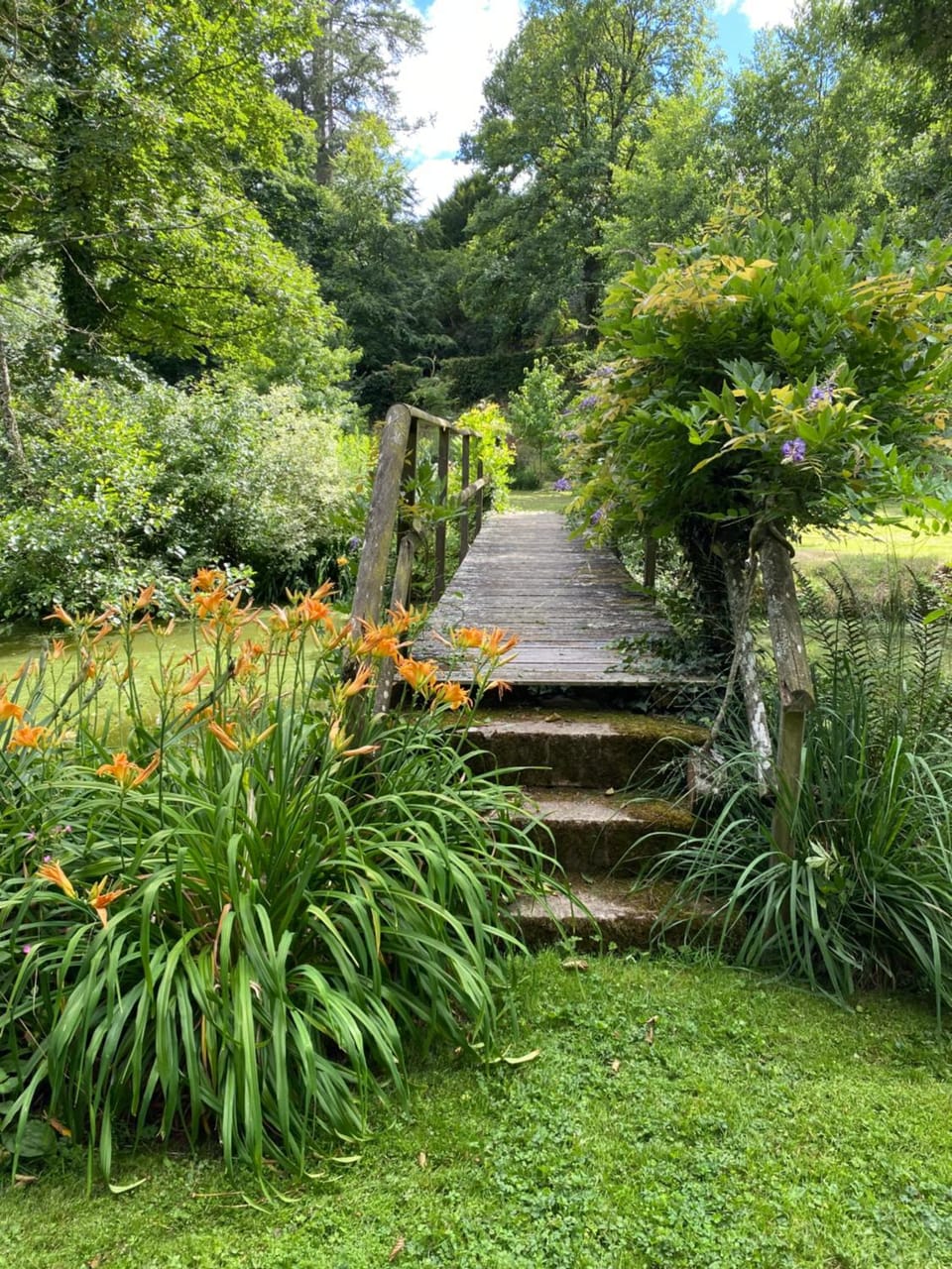 Garden view