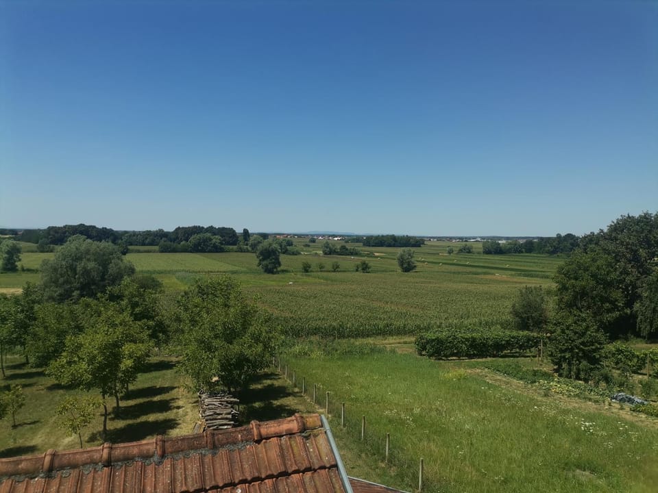 Natural landscape