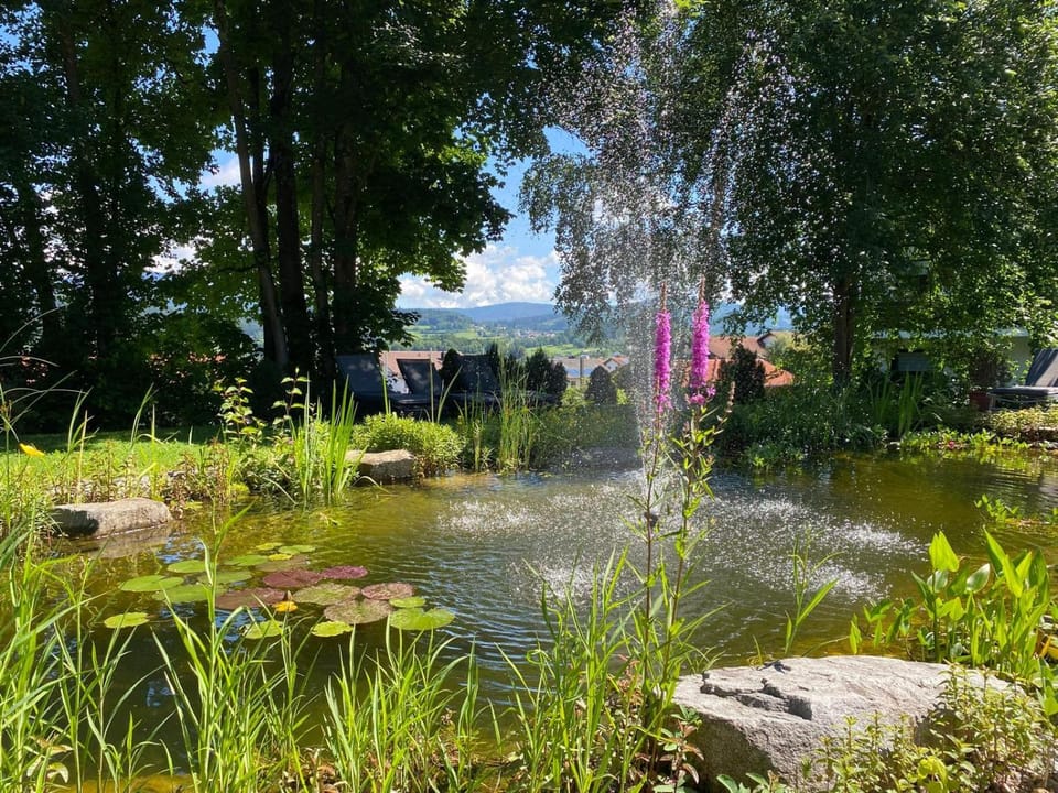 Patio, Garden, Garden view