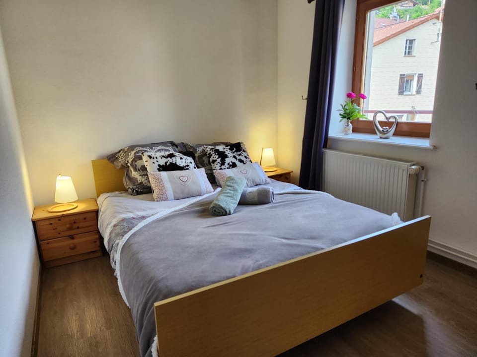 Gite Bruyère, 2 à 5 personnes avec salle de jeux et SPA dans la résidence Apartment in Vosges