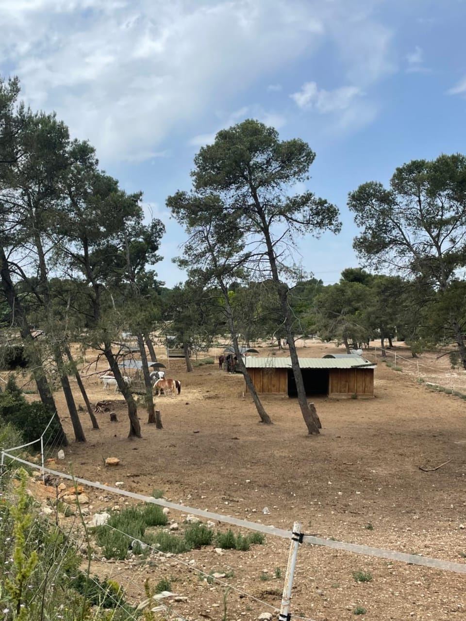 Beauséjour nature et chevaux Apartment in Cabriès