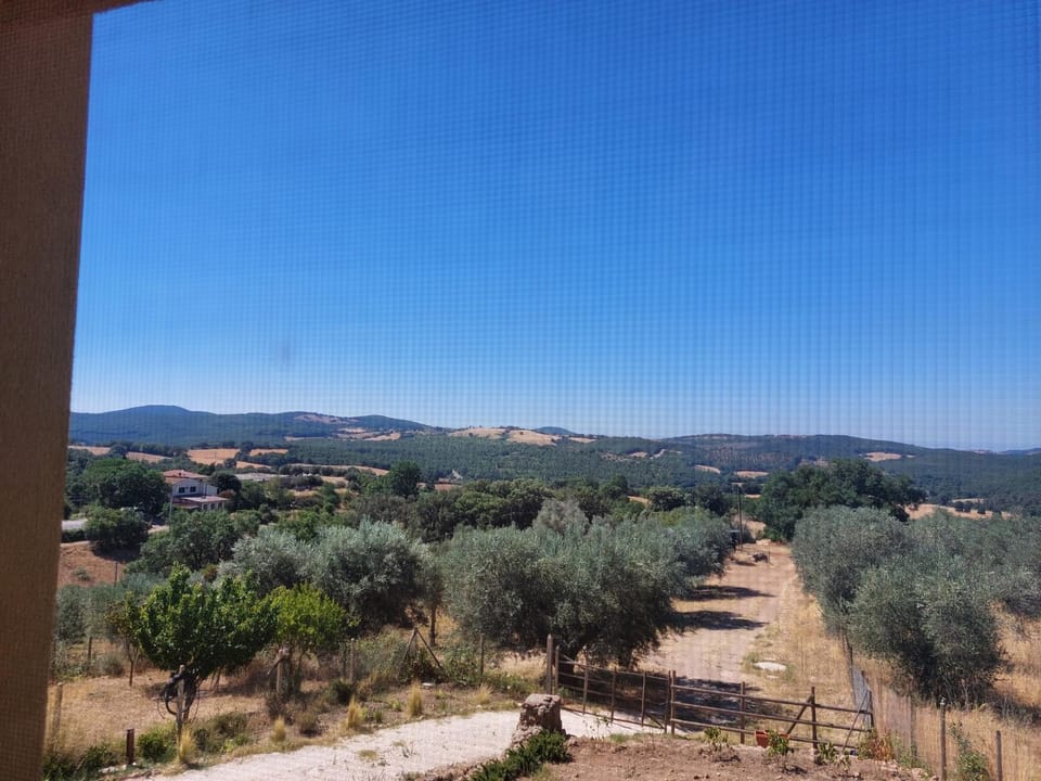 Fattoria La Campigliola Apartment in Tuscany