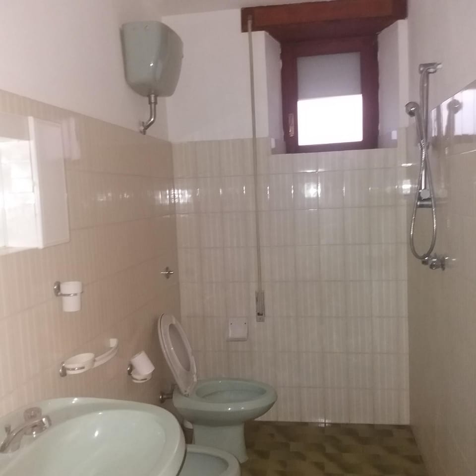 Shower, Toilet, Bathroom, bidet