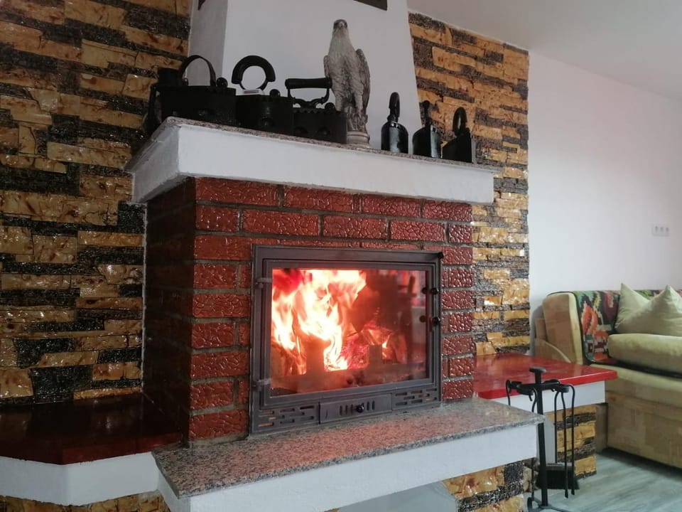 Casa Maria House in Romania