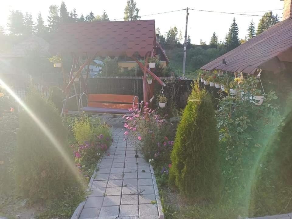 Casa Maria House in Romania