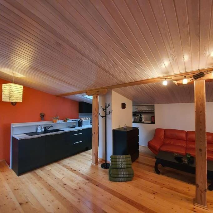 Studio apartment and FREE airport transfer Apartment in Riga