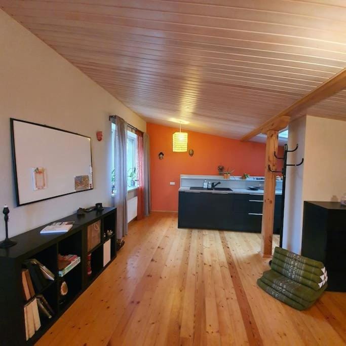 Studio apartment and FREE airport transfer Apartment in Riga