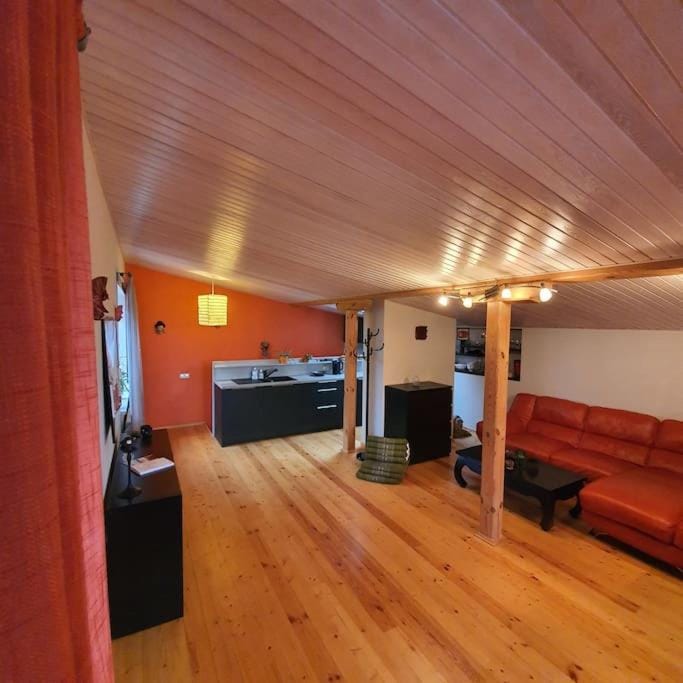 Studio apartment and FREE airport transfer Apartment in Riga