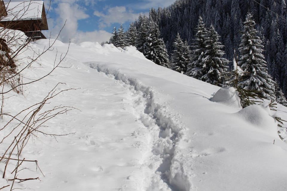 Natural landscape, Winter