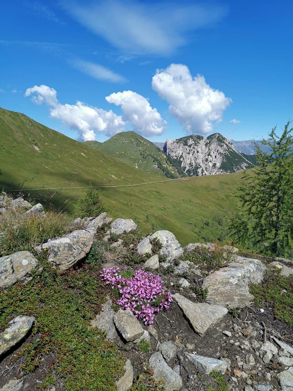 Day, Natural landscape