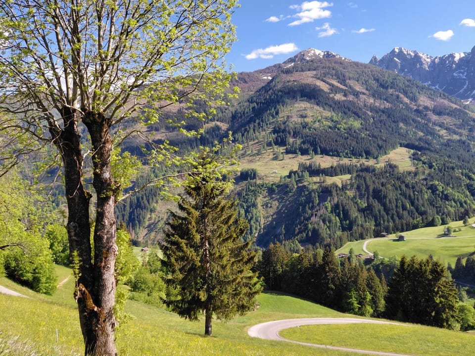 Natural landscape, Mountain view