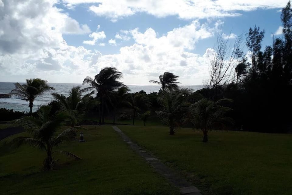 Perle de l'Alamanda Apartment in Grande-Terre, Guadeloupe