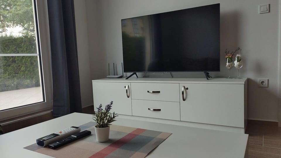Communal lounge/ TV room, TV and multimedia