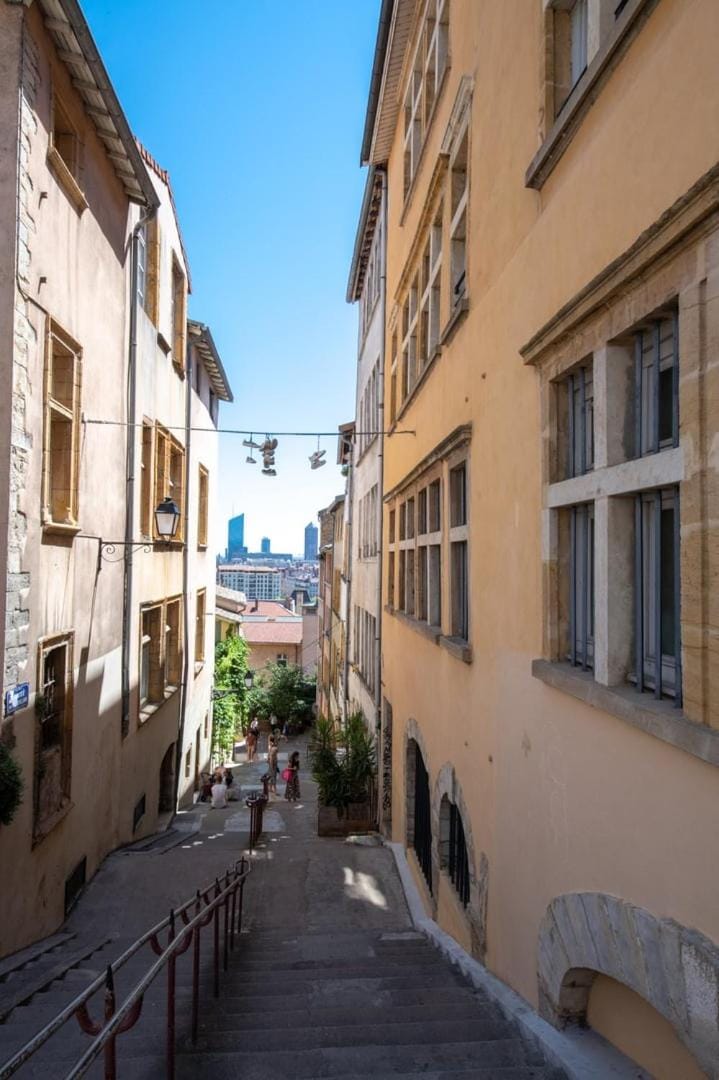 La Suite Sépia - Superbe appartement Vieux Lyon Apartment in Lyon