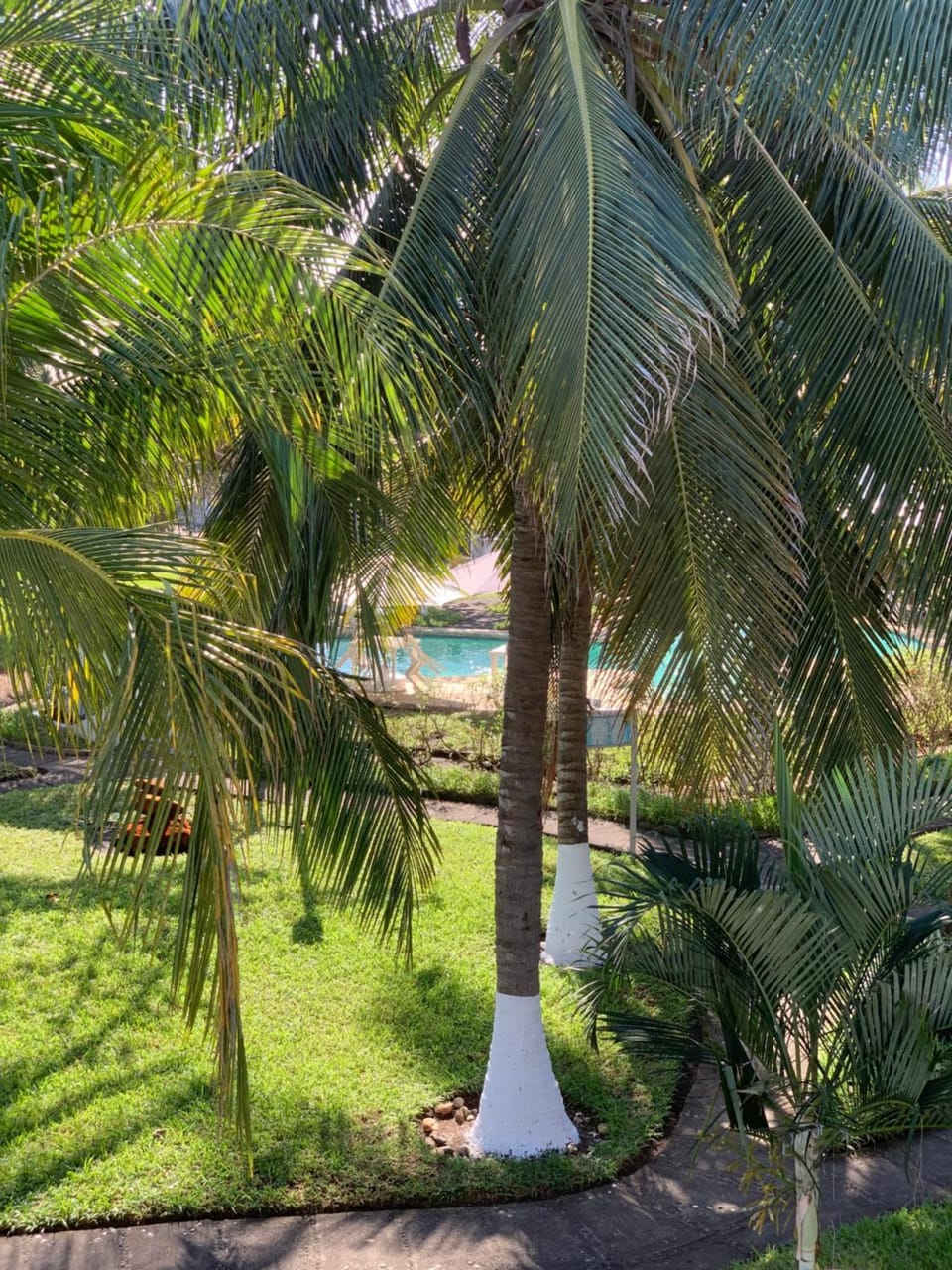Garden view