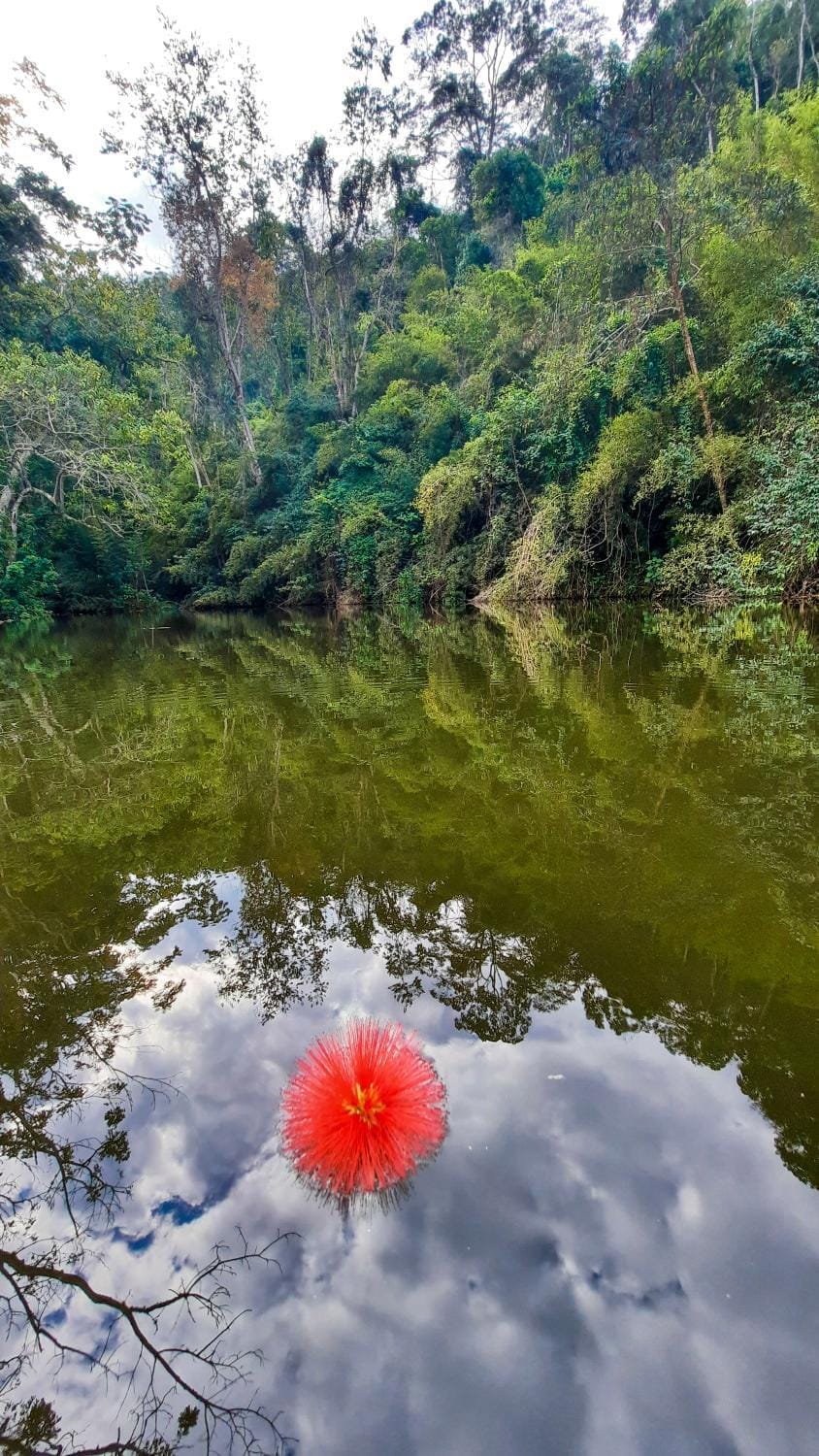 Day, Natural landscape, Lake view