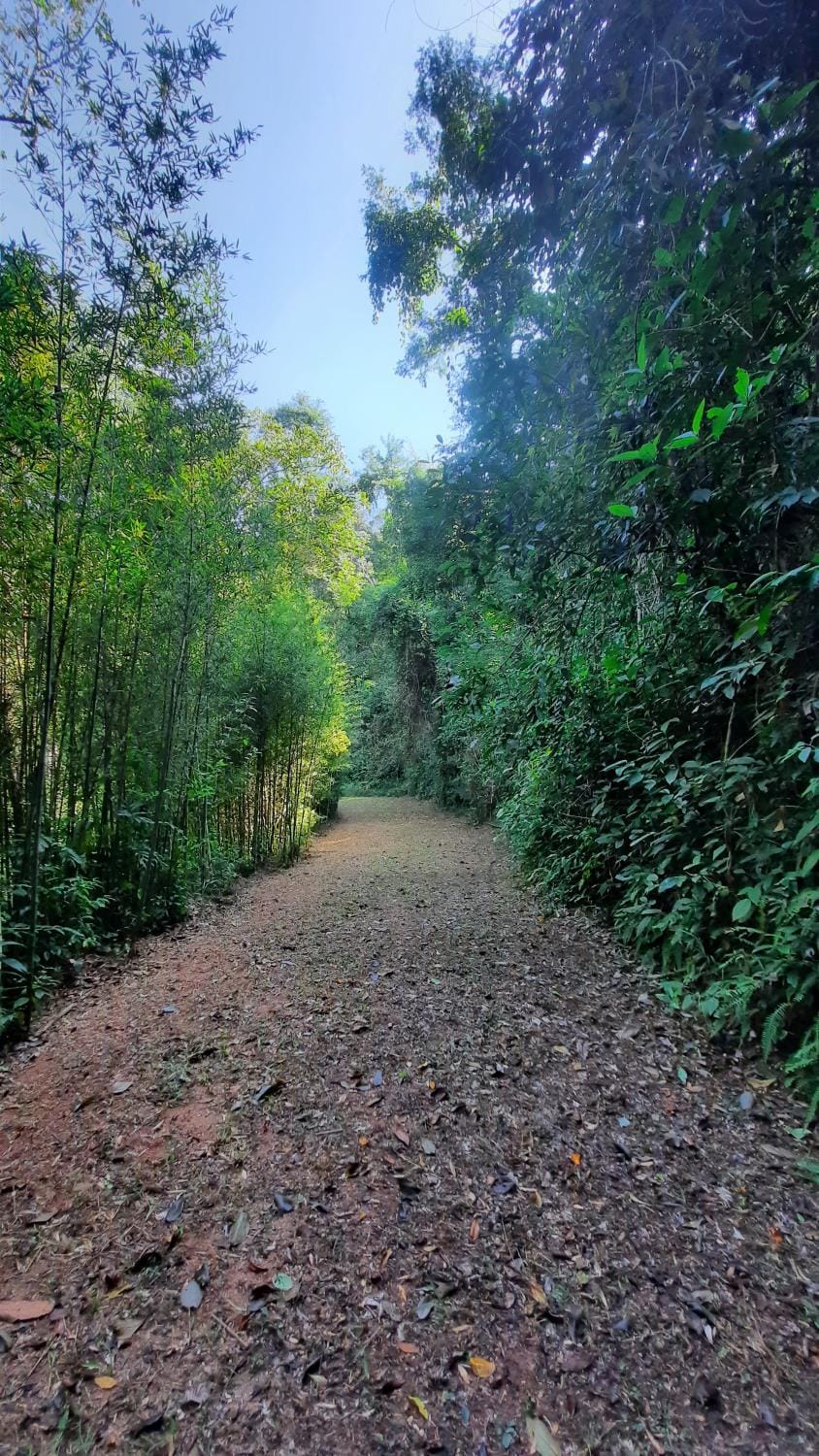 Spring, Day, Natural landscape, Garden, Hiking