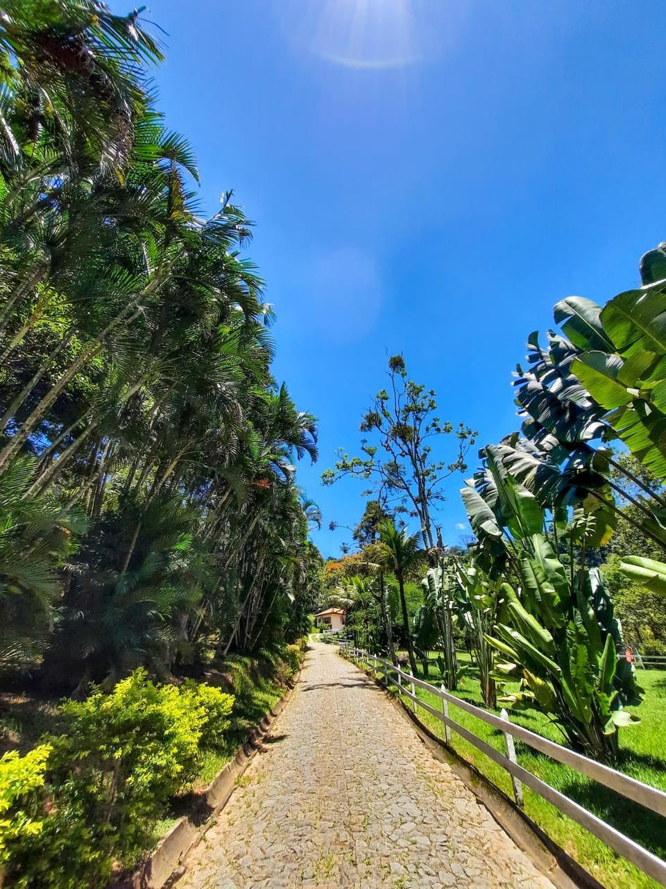Spring, Day, Natural landscape, Garden, Garden view