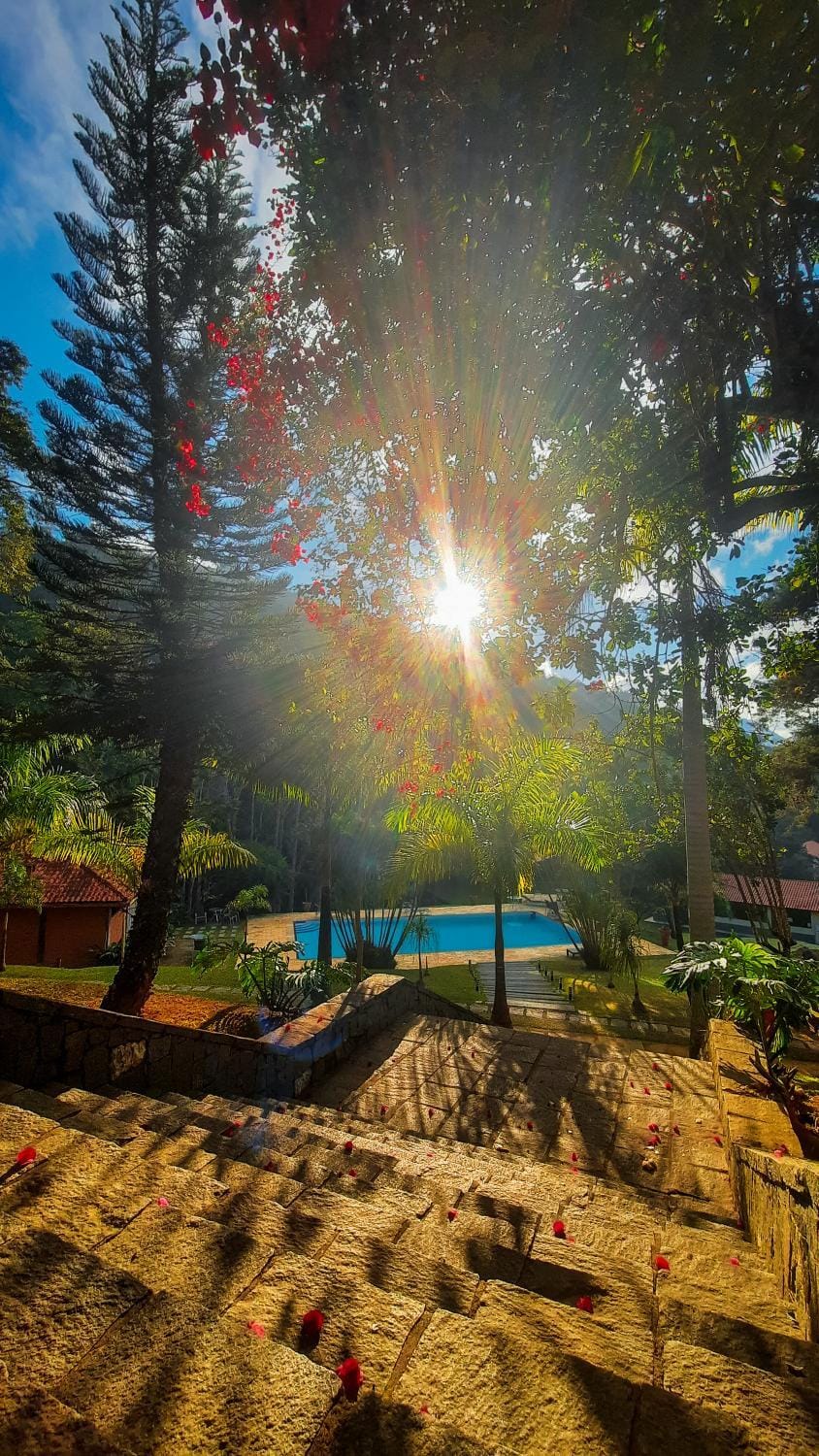 Day, Natural landscape, Garden, Garden view, Pool view, Swimming pool, Sunrise