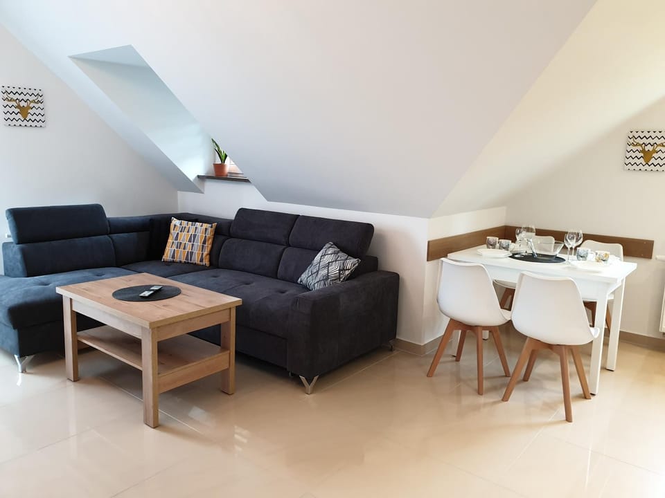 Living room, children, young children, older children, group of guests, Quiet street view, dishwasher, furniture, heating, internet, locker, microwave, pet friendly, toaster, towels, laundry, dryer, kitchen