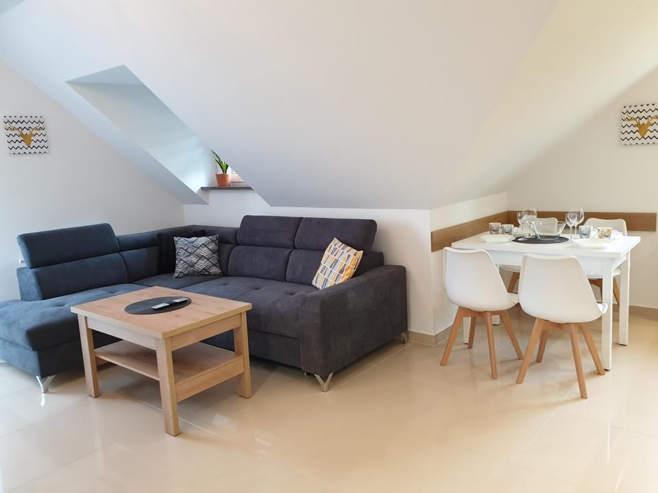 VILLA MILA Apartamenty Apartment in Lower Silesian Voivodeship
