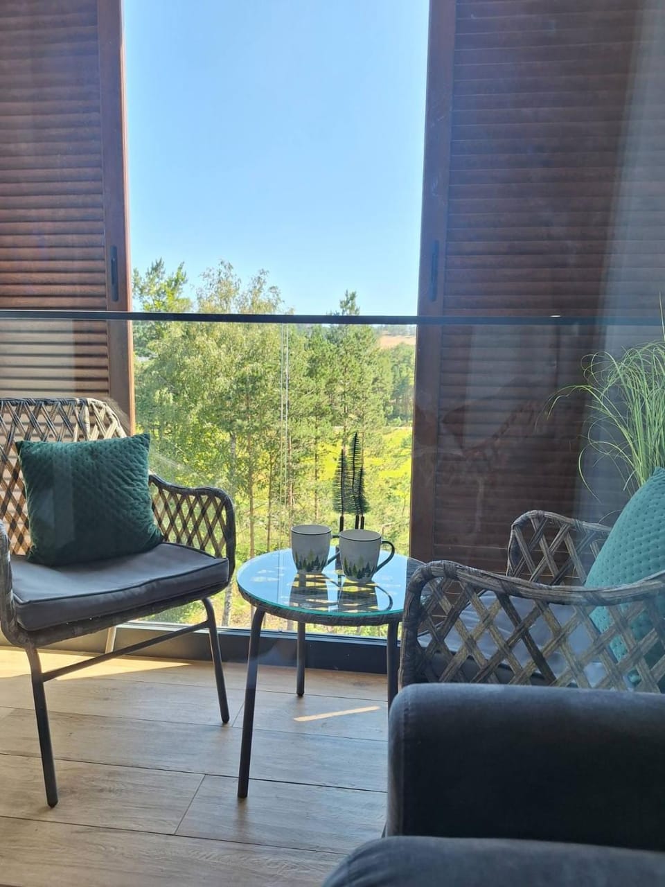 Borovi30 Apartment in Zlatibor District, Serbia