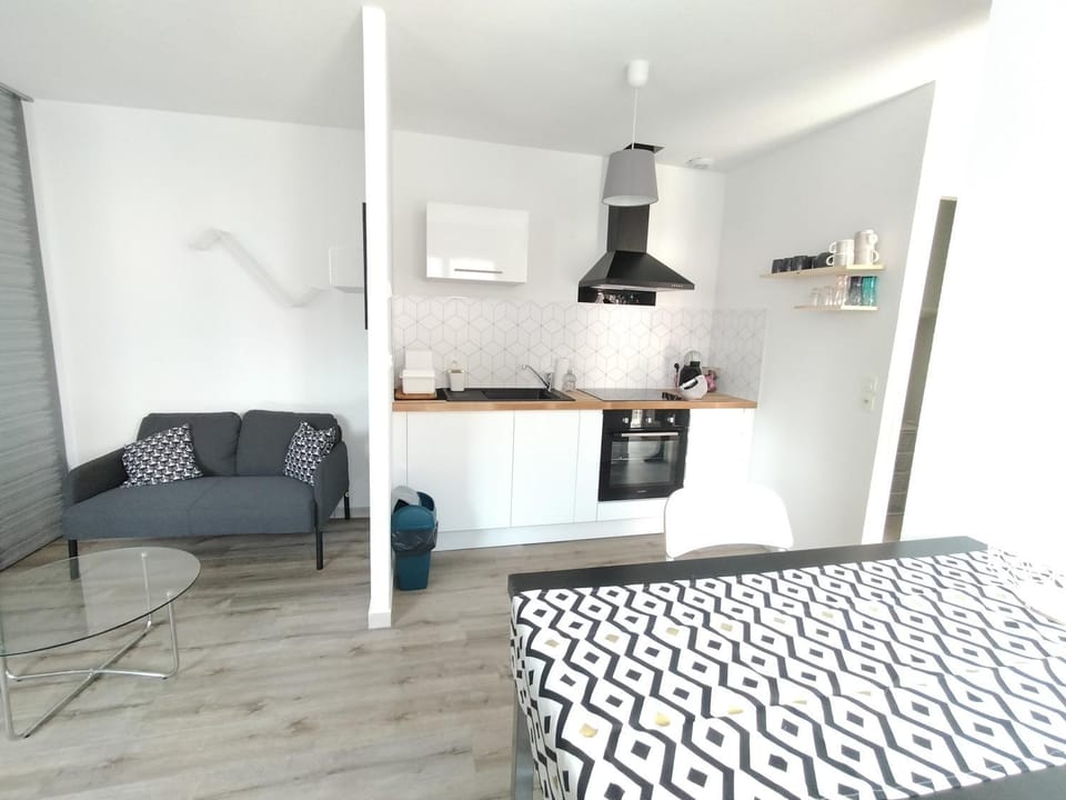 Bel appartement avec micro ext et parking privé Apartment in Clermont-Ferrand