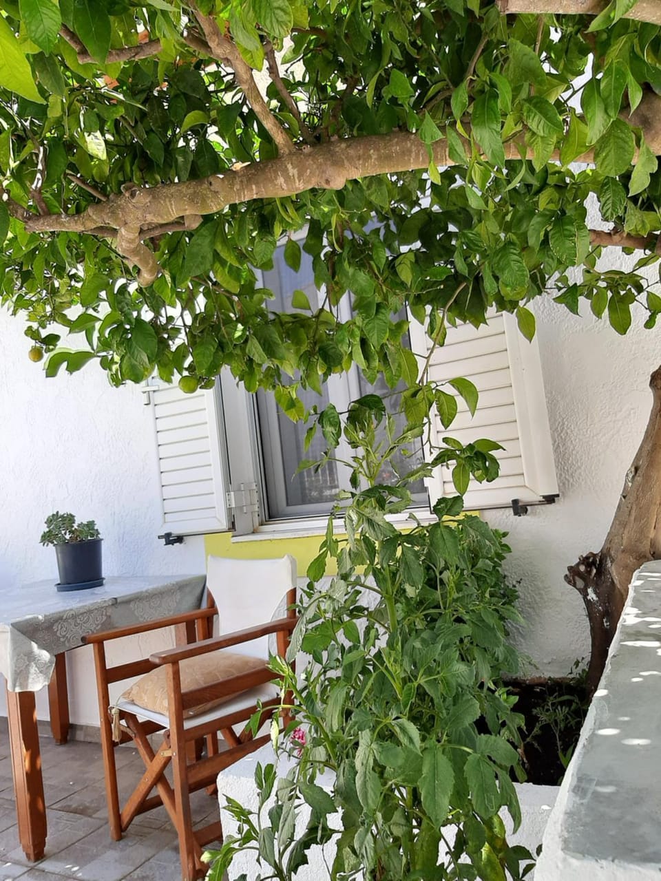Lemon Garden 2 Apartment in Lasithi