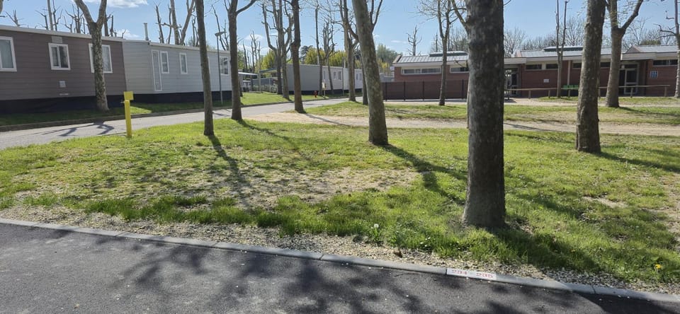 Natural landscape, Garden view