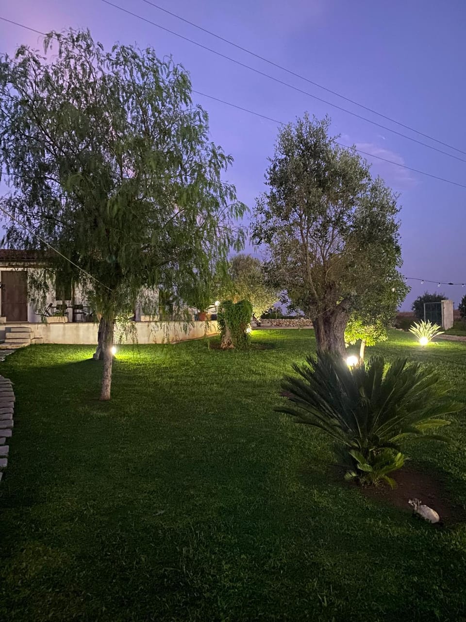 Fruni House House in Apulia