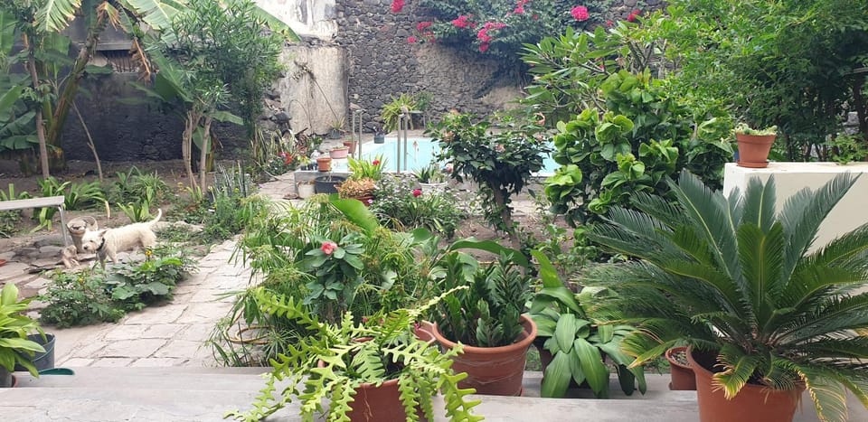 Patio, Balcony/Terrace